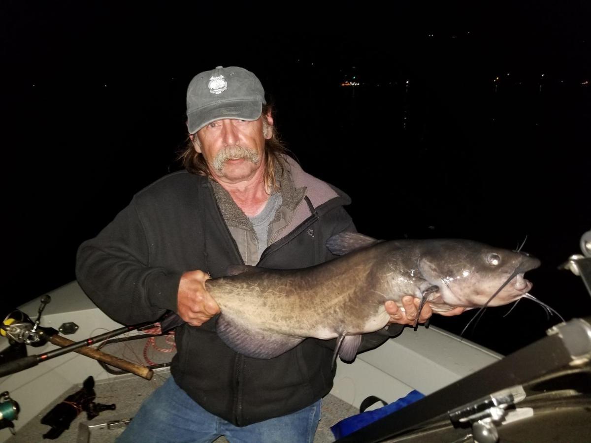 Omeo Clearlake Oaks Glenhaven Esterno foto