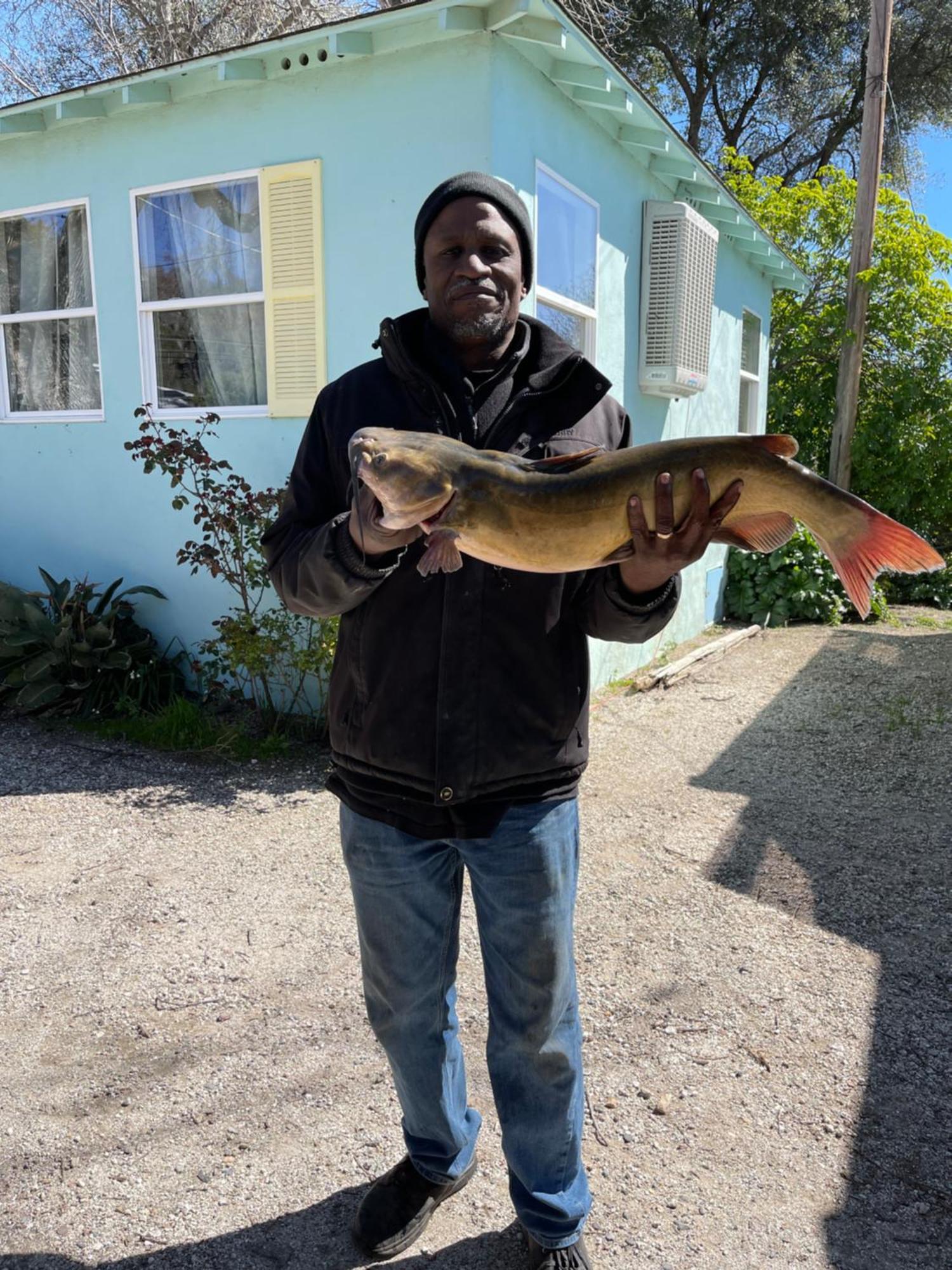 Omeo Clearlake Oaks Glenhaven Esterno foto